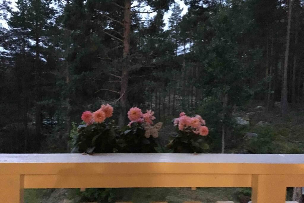 Willa Annes House Linoye Zewnętrze zdjęcie