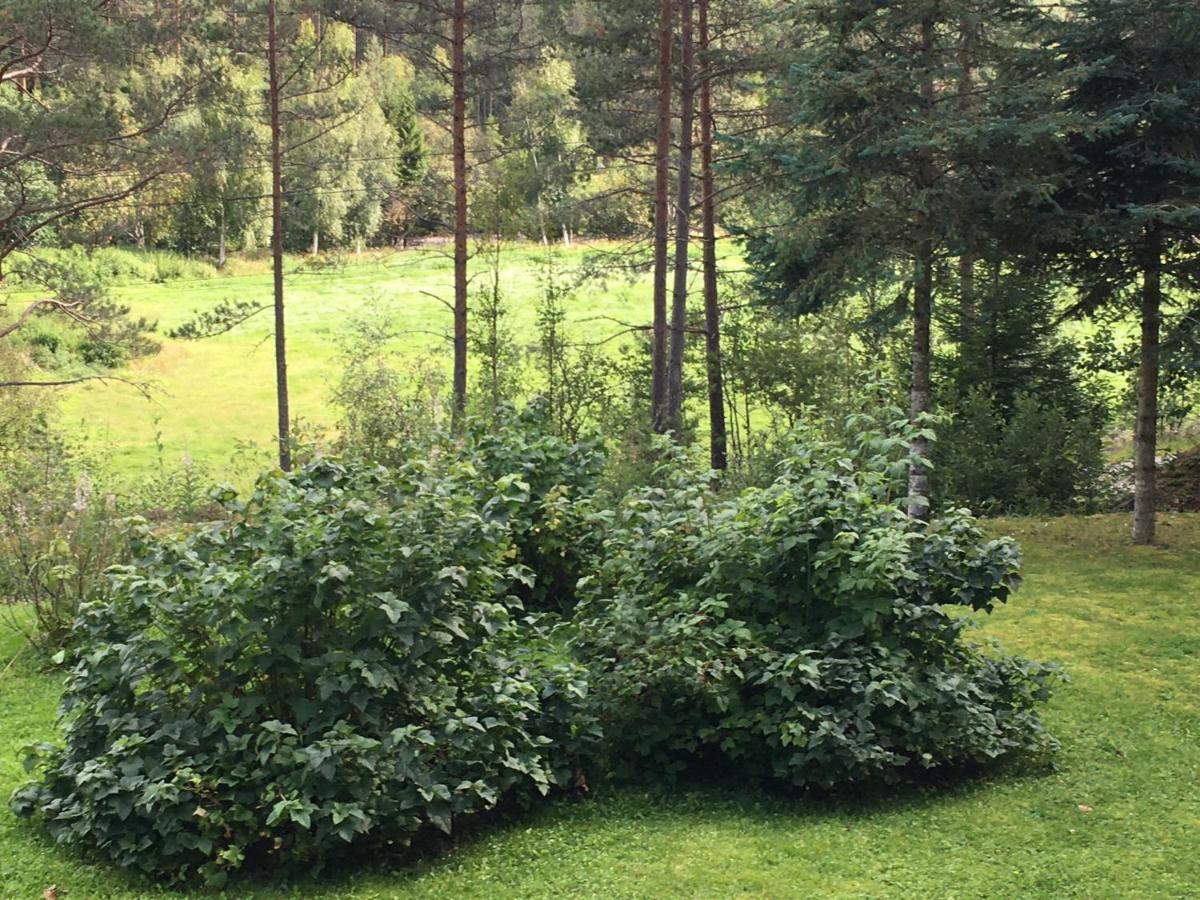 Willa Annes House Linoye Zewnętrze zdjęcie